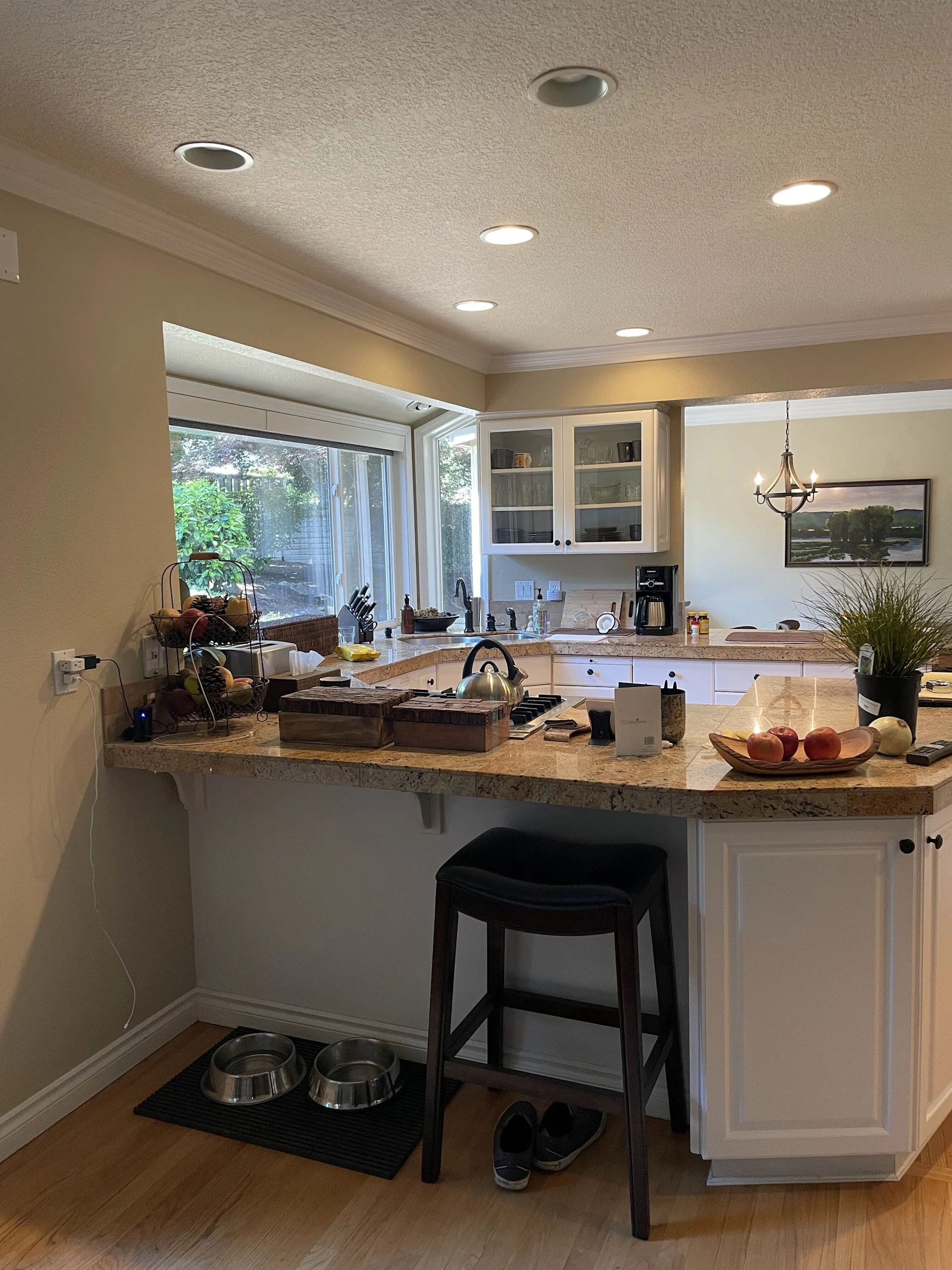 Sage Shaker Kitchen Refresh in Lake Oswego, OR — before